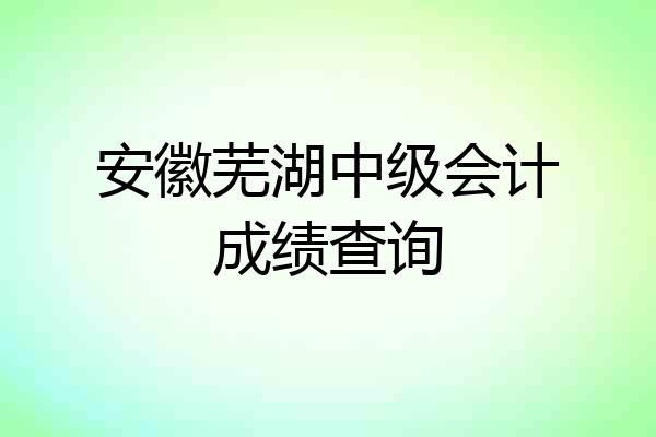 安徽芜湖中级会计成绩查询