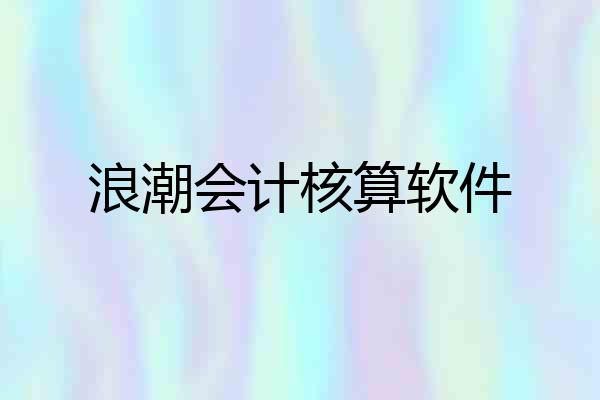 浪潮会计核算软件