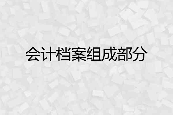 会计档案组成部分