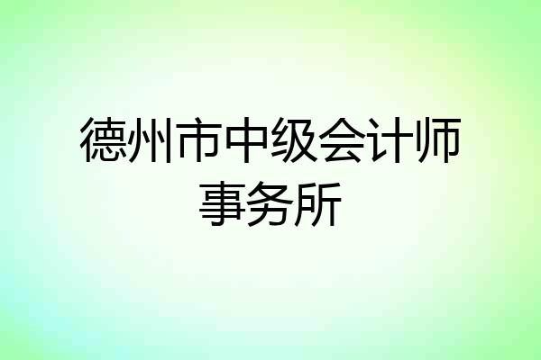 德州市中级会计师事务所