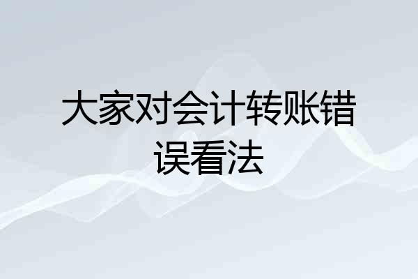 大家对会计转账错误看法