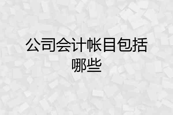 公司会计帐目包括哪些