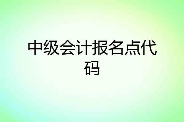 中级会计报名点代码