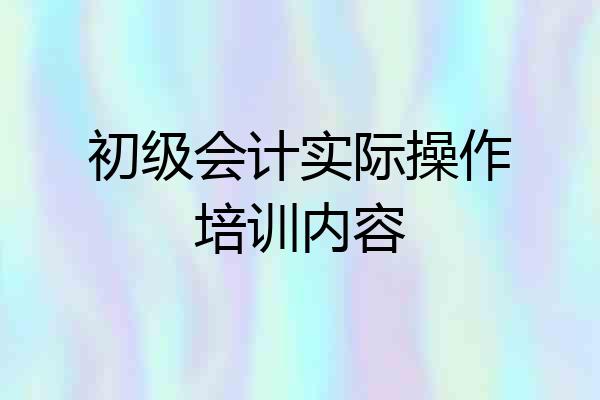 初级会计实际操作培训内容