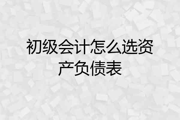 初级会计怎么选资产负债表