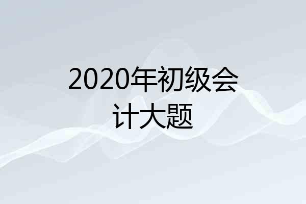 2020年初级会计大题