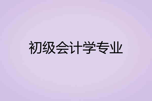 初级会计学专业