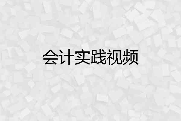 会计实践视频