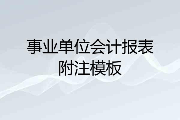 事业单位会计报表附注模板