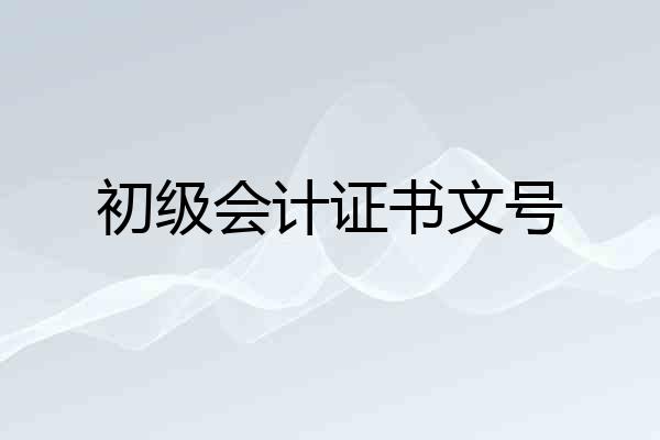 初级会计证书文号