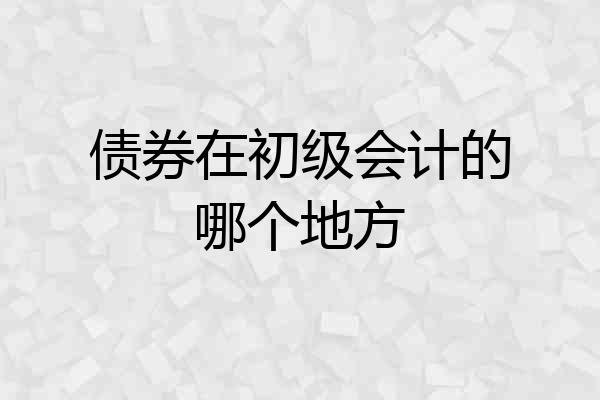 债券在初级会计的哪个地方