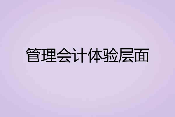 管理会计体验层面