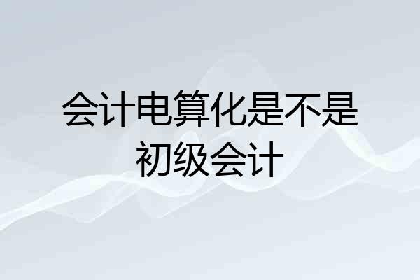 会计电算化是不是初级会计