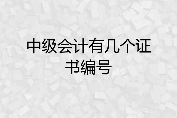 中级会计有几个证书编号