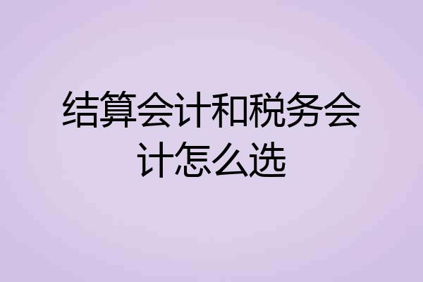 结算会计和税务会计怎么选