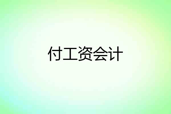 付工资会计