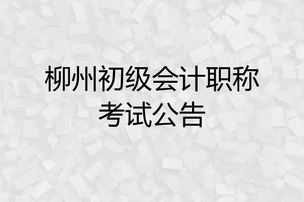 柳州初级会计职称考试公告