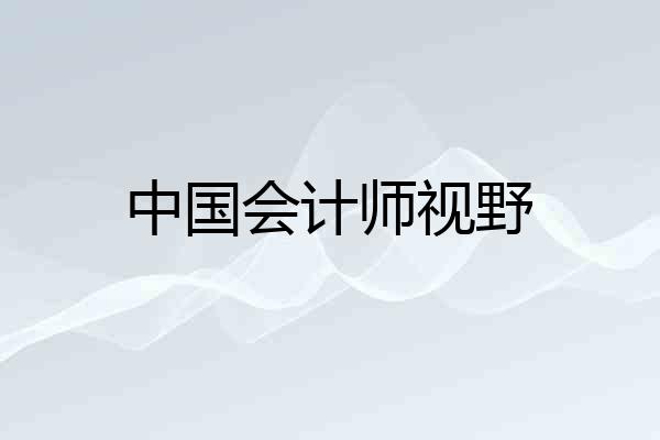 中国会计师视野