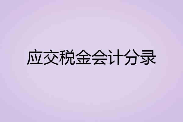 应交税金会计分录