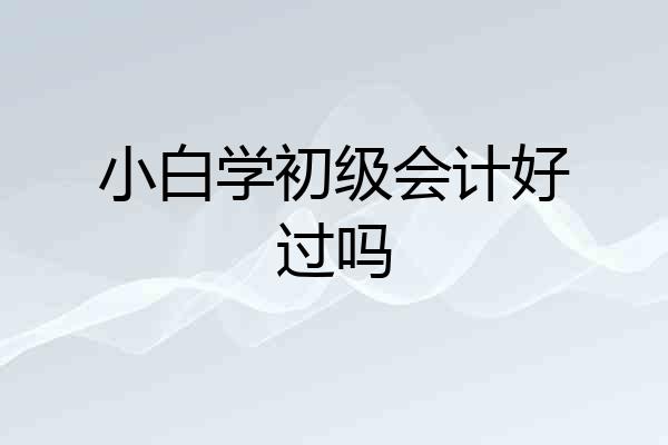 小白学初级会计好过吗