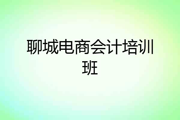 聊城电商会计培训班
