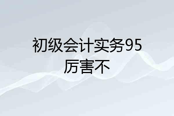 初级会计实务95厉害不
