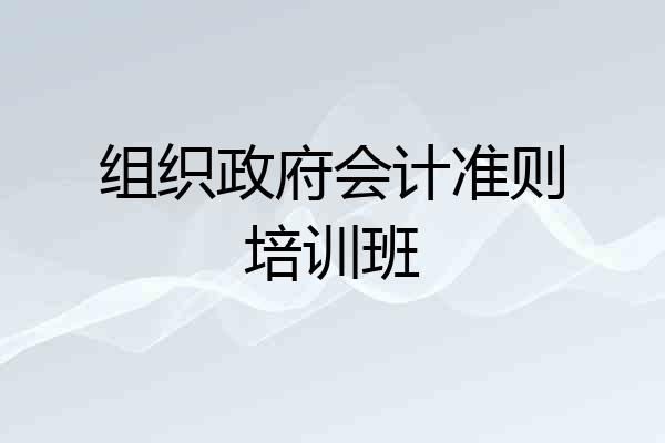 组织政府会计准则培训班