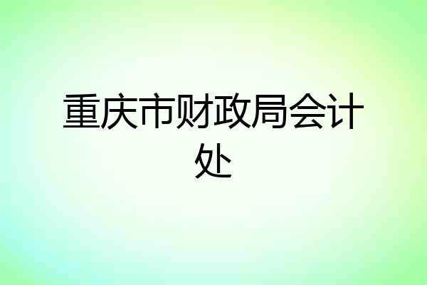 重庆市财政局会计处