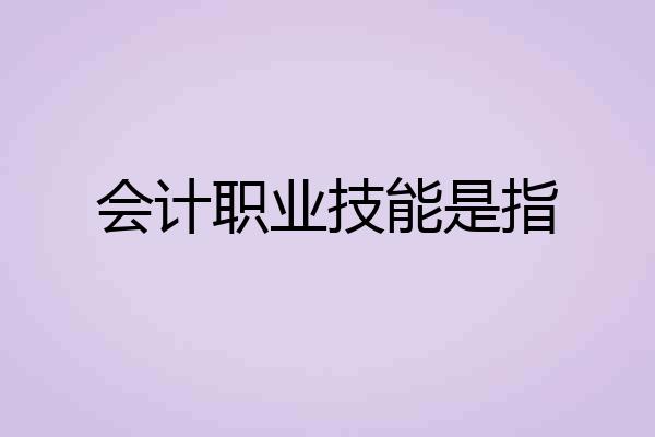会计职业技能是指