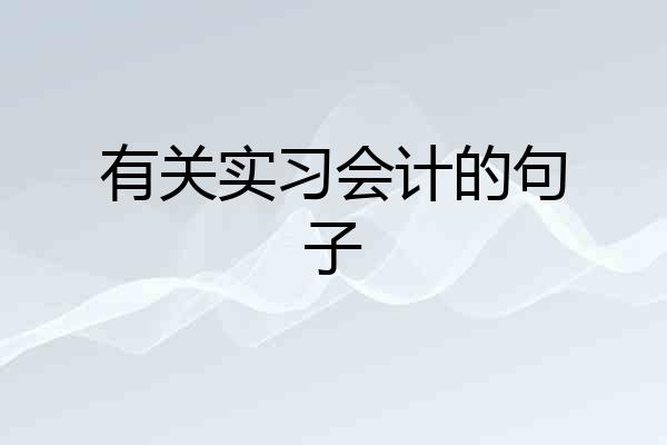 有关实习会计的句子