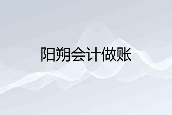 阳朔会计做账