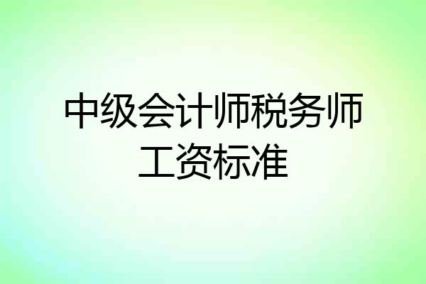 中级会计师税务师工资标准