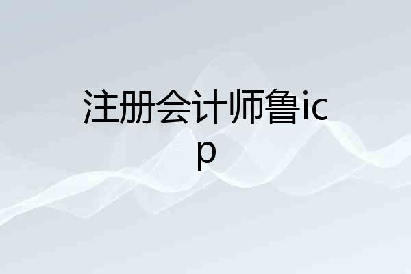 注册会计师鲁icp