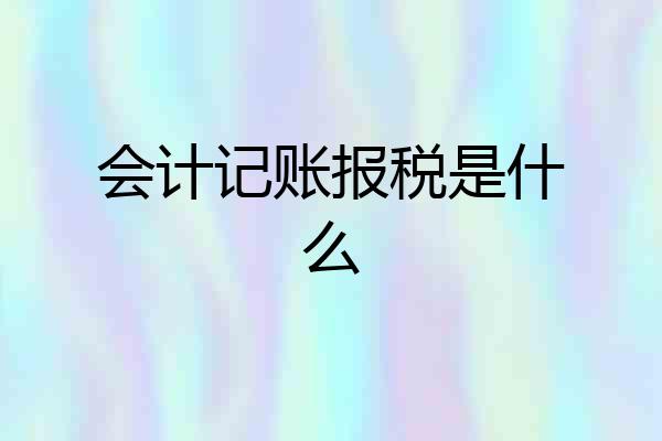 会计记账报税是什么