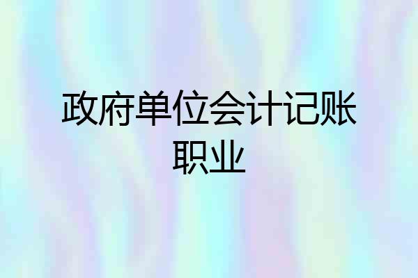 政府单位会计记账职业
