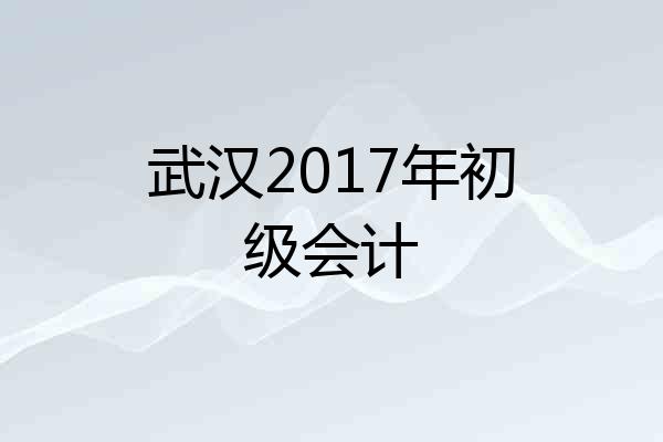 武汉2017年初级会计