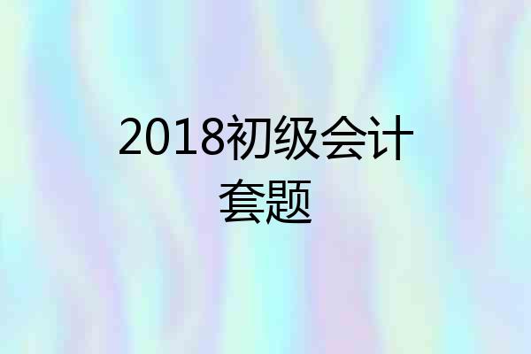 2018初级会计套题