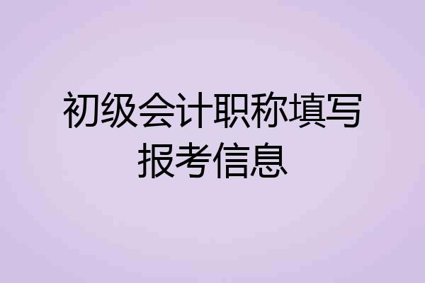 初级会计职称填写报考信息
