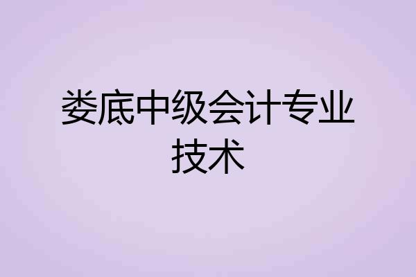 娄底中级会计专业技术