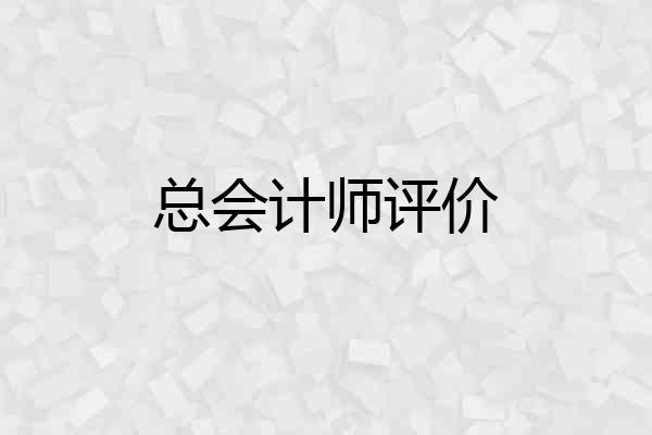 总会计师评价