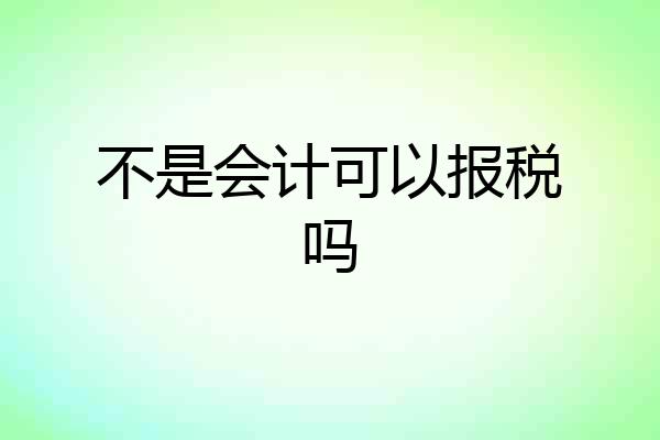 不是会计可以报税吗