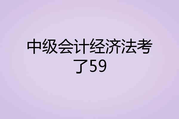 中级会计经济法考了59