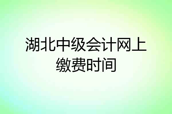 湖北中级会计网上缴费时间
