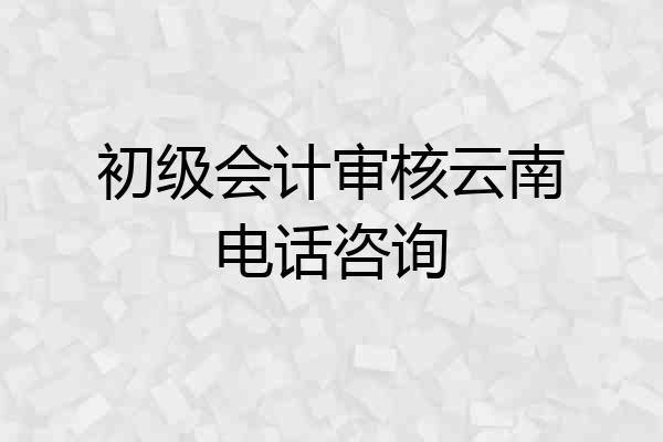 初级会计审核云南电话咨询