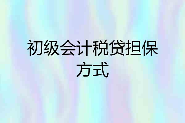 初级会计税贷担保方式