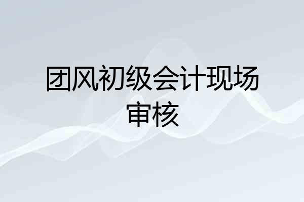 团风初级会计现场审核