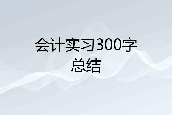 会计实习300字总结