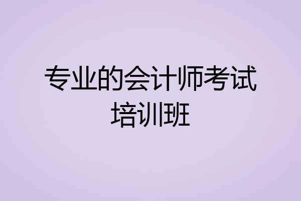 专业的会计师考试培训班