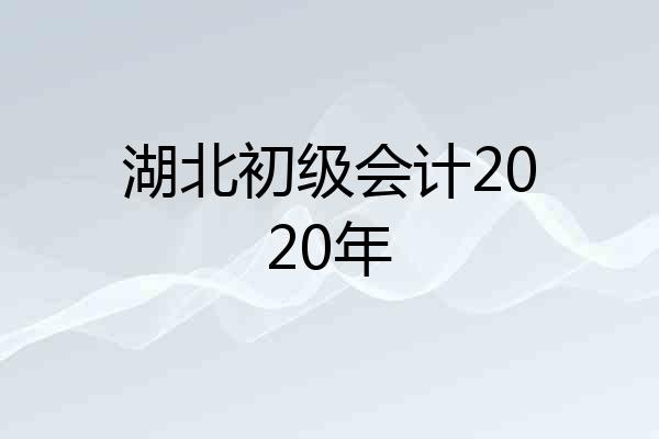 湖北初级会计2020年