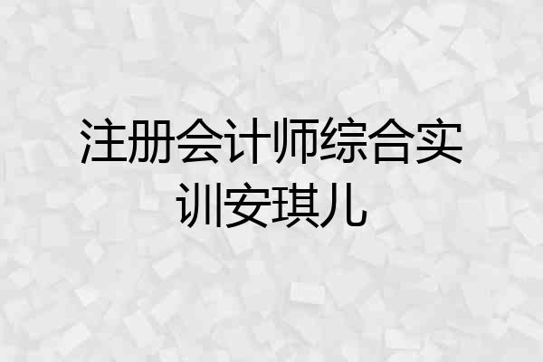 注册会计师综合实训安琪儿